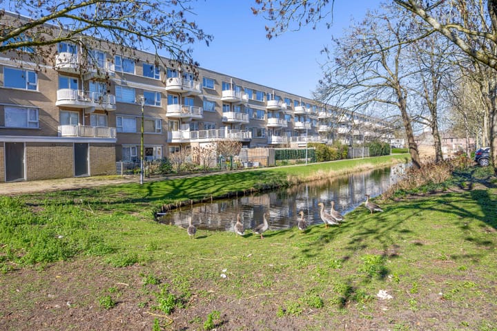 Foto 5 van Helsingborgerf 64