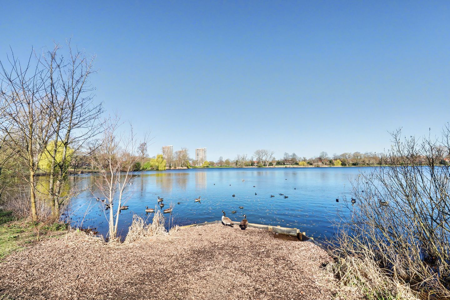 Foto 35 van Westenburgerweg 60