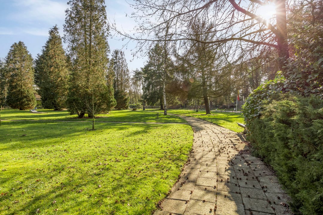 Photo 28 of Schaluinen 11-B251