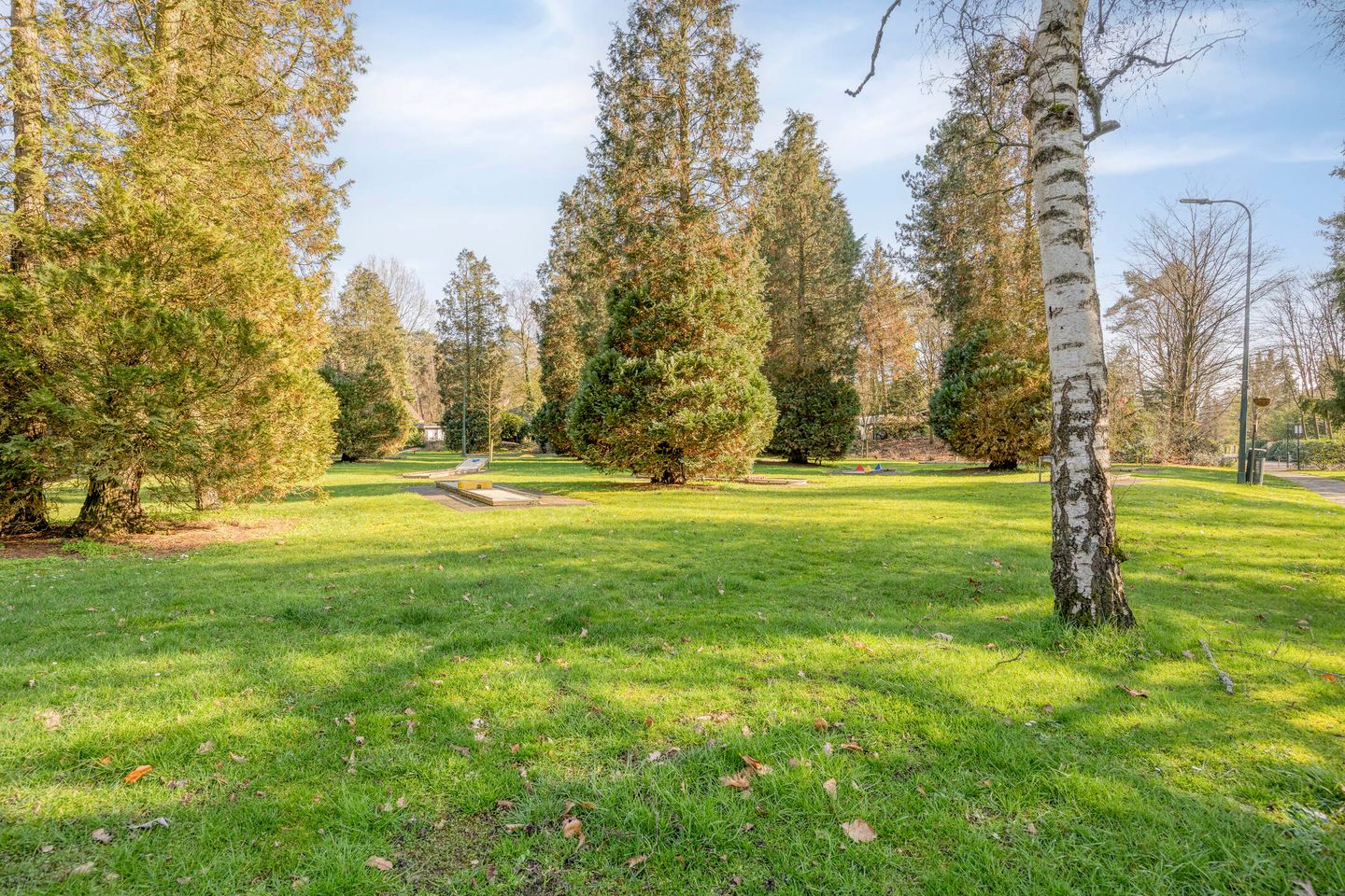 Photo 29 of Schaluinen 11-B251