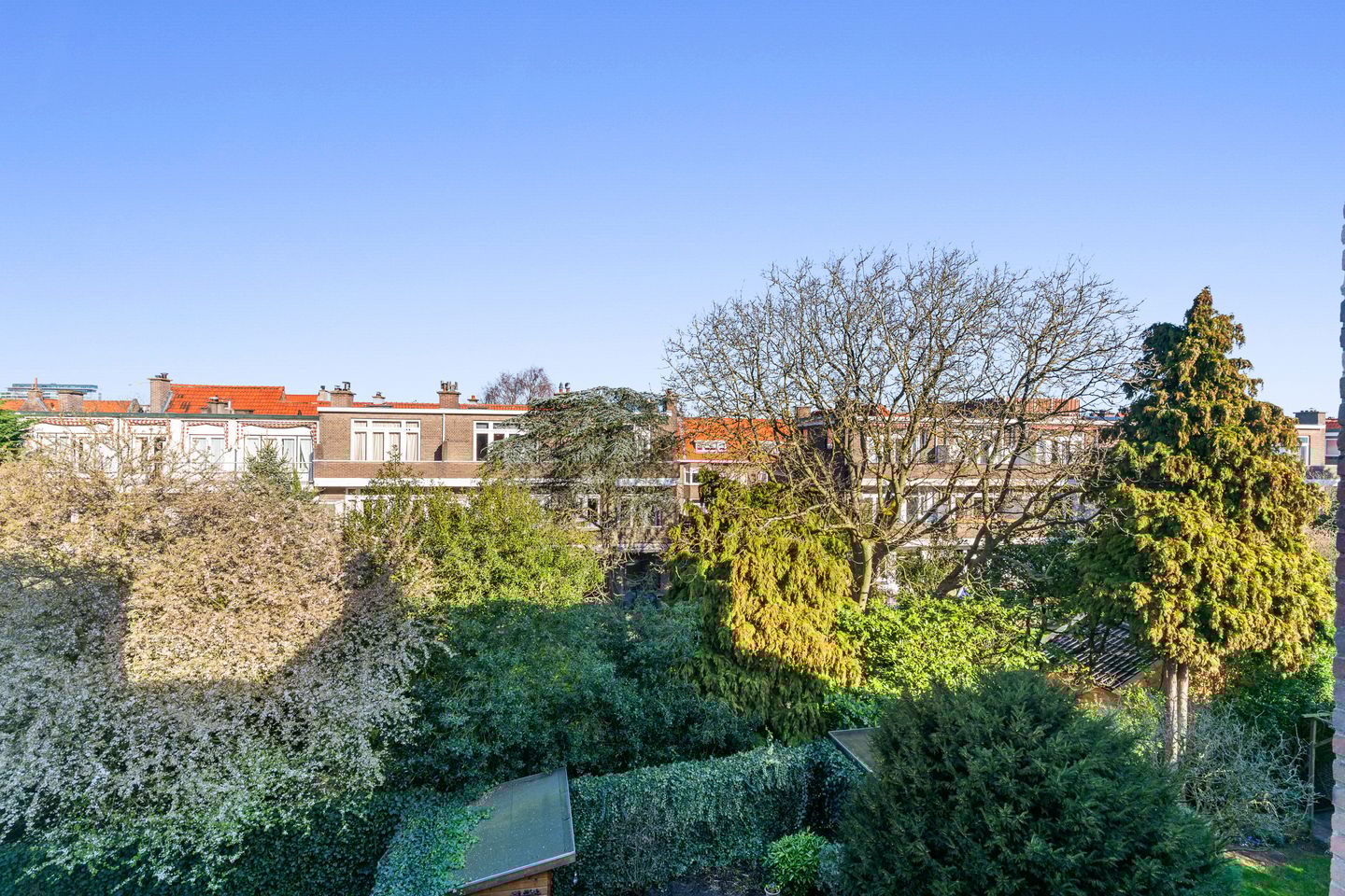 Foto 50 van Benoordenhoutseweg 84