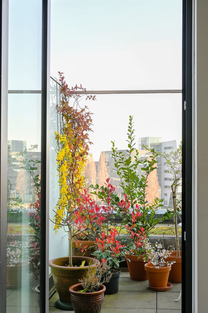 Photo 3 of Isaac Titsinghkade 249