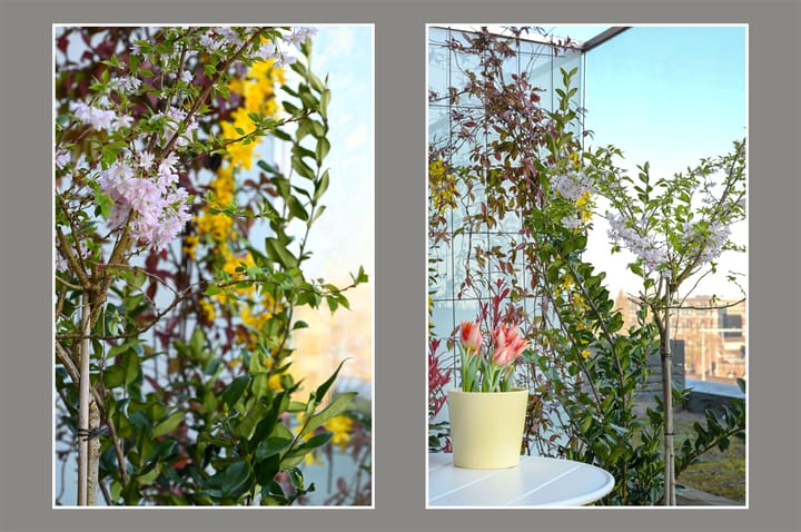 Photo 5 of Isaac Titsinghkade 249