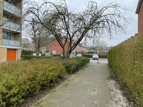 Foto 42 van Barnsteenstraat 25