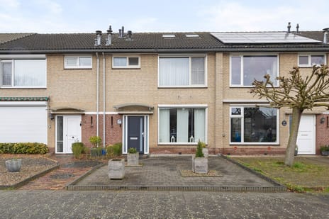 Jeneverbeslaan thumbnail