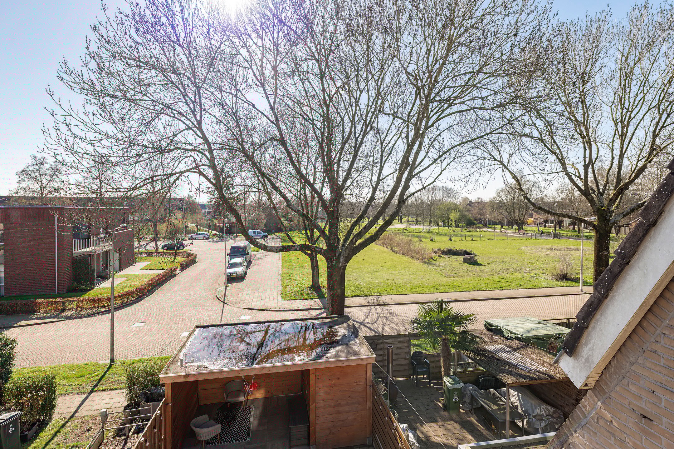 Photo 3 of Ganzebloem 5