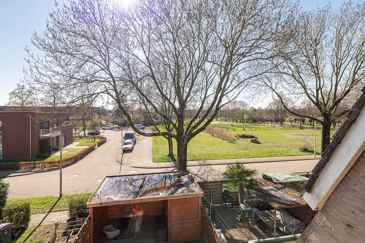 Photo 3 of Ganzebloem 5