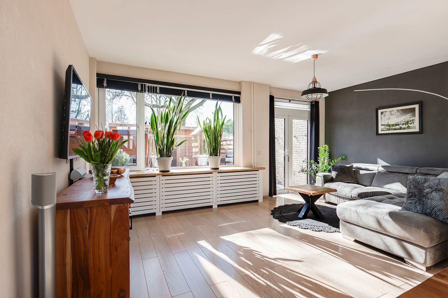 Photo 4 of Ganzebloem 5