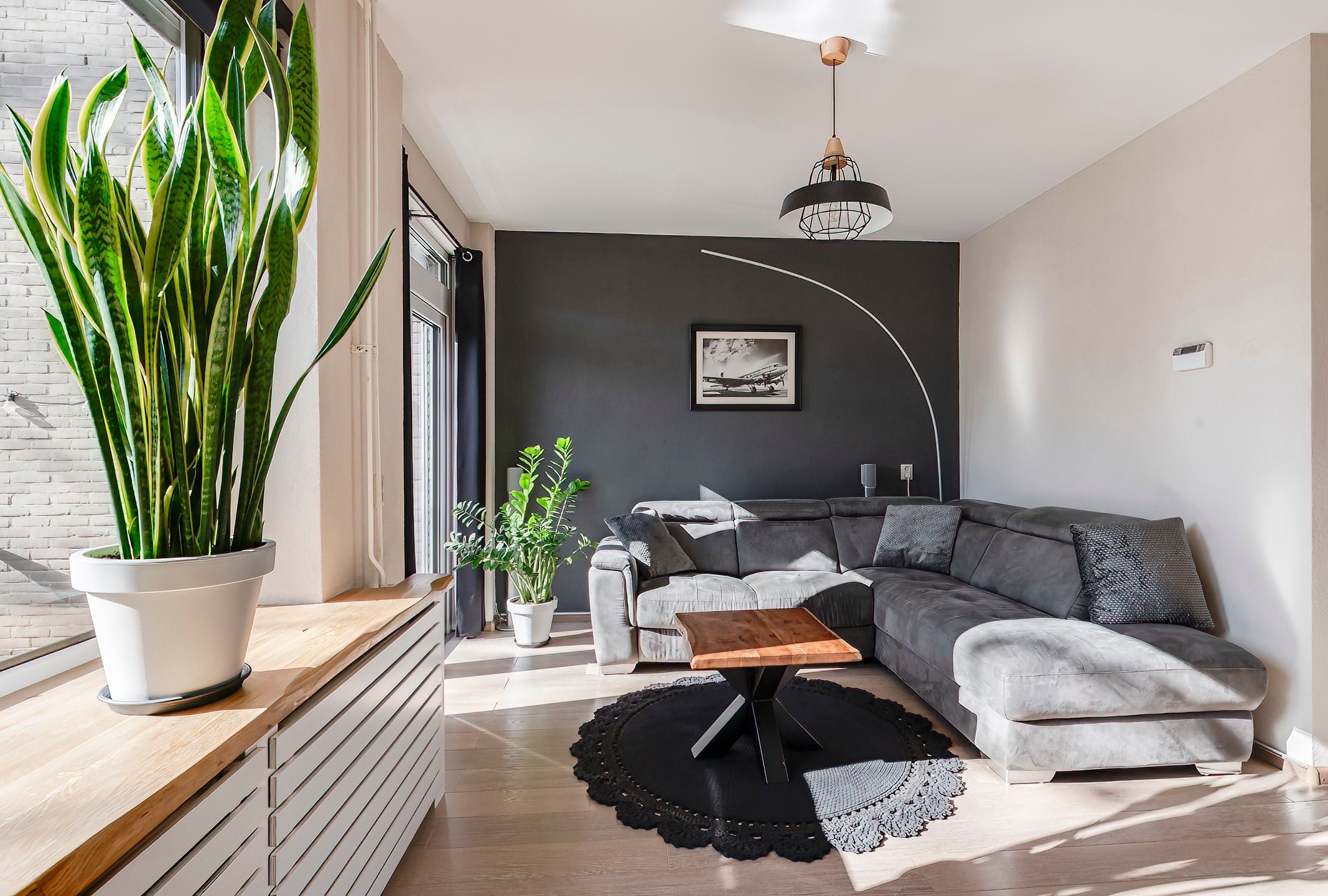 Photo 12 of Ganzebloem 5