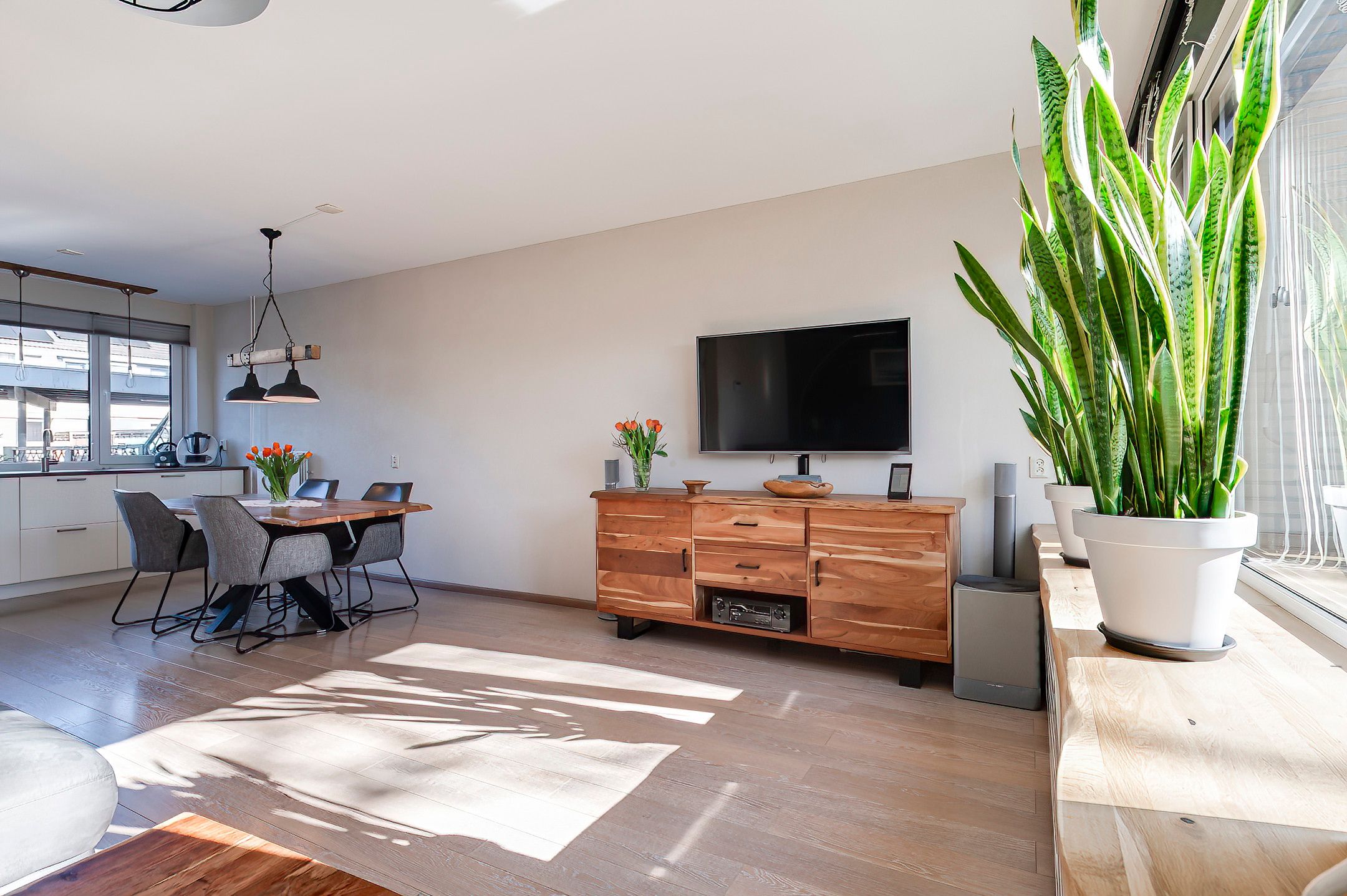 Photo 15 of Ganzebloem 5