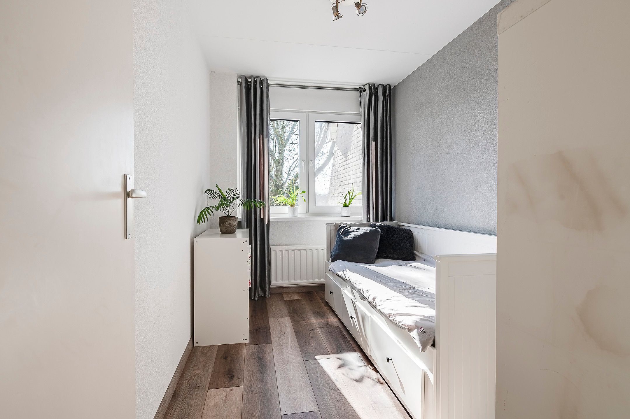 Photo 27 of Ganzebloem 5