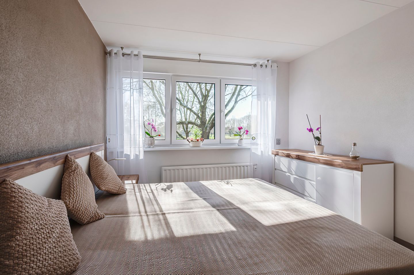 Photo 29 of Ganzebloem 5