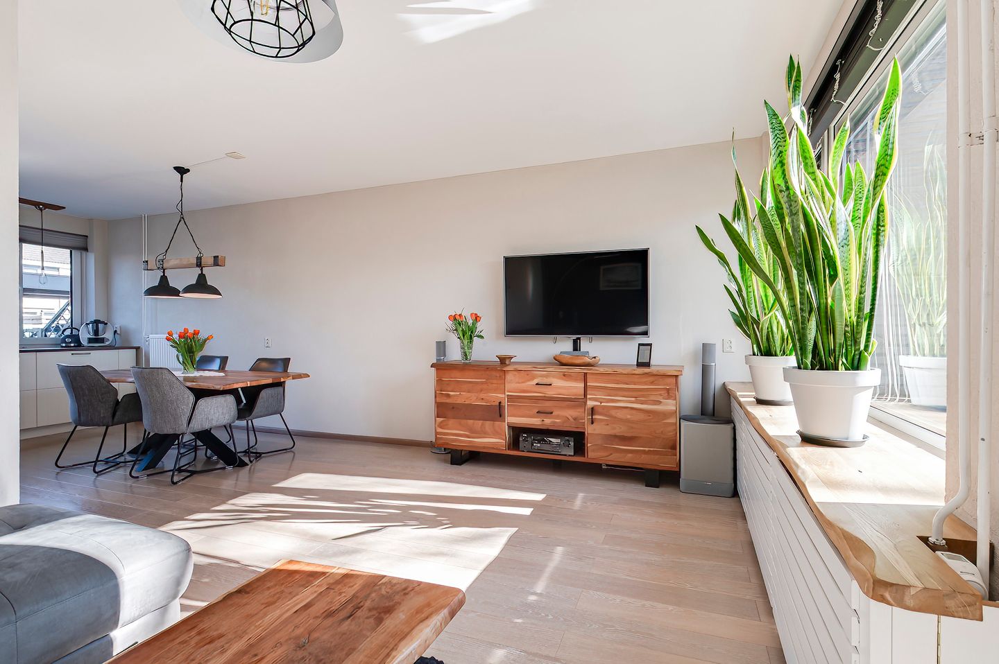 Photo 14 of Ganzebloem 5