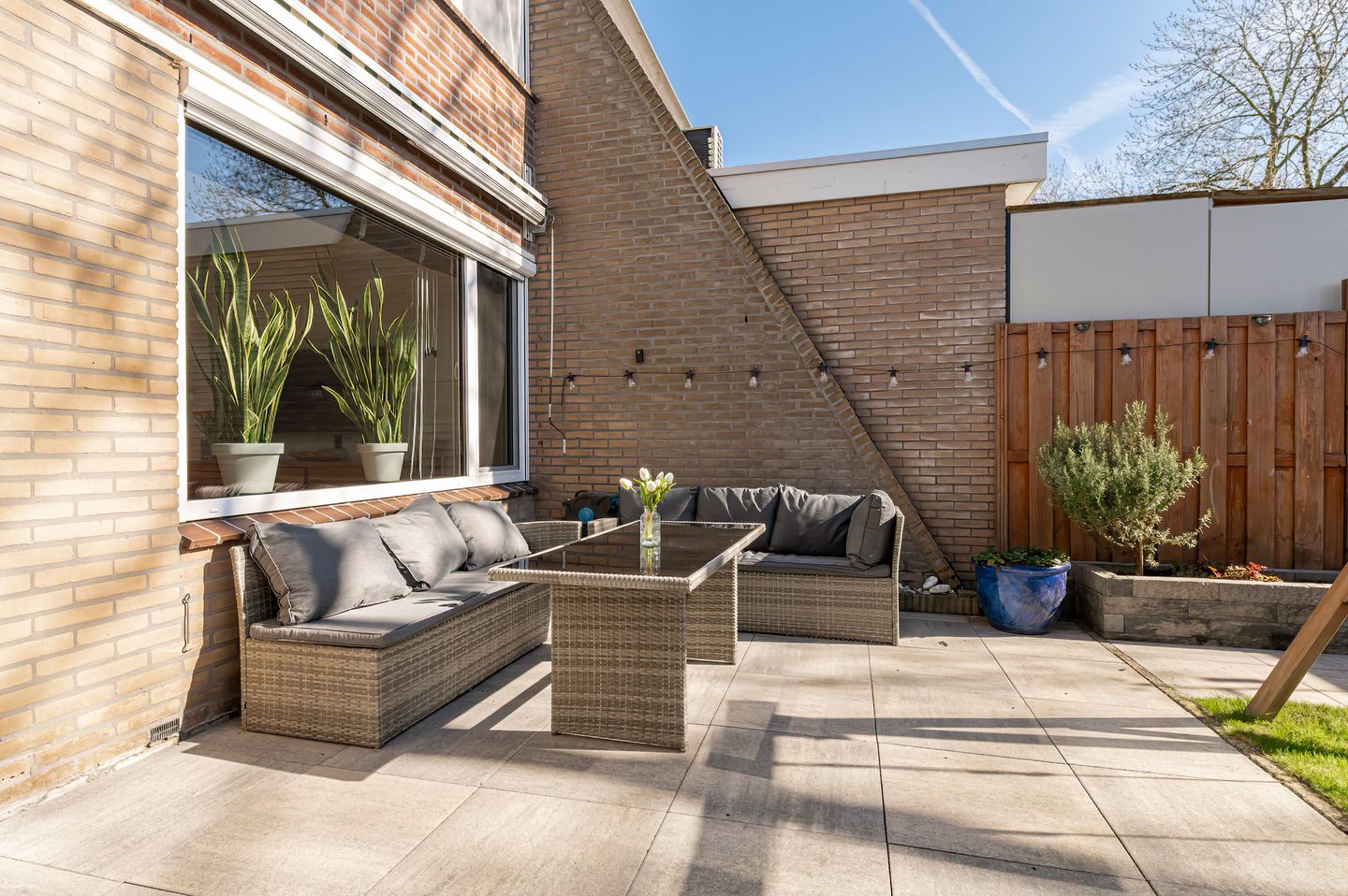 Photo 20 of Ganzebloem 5