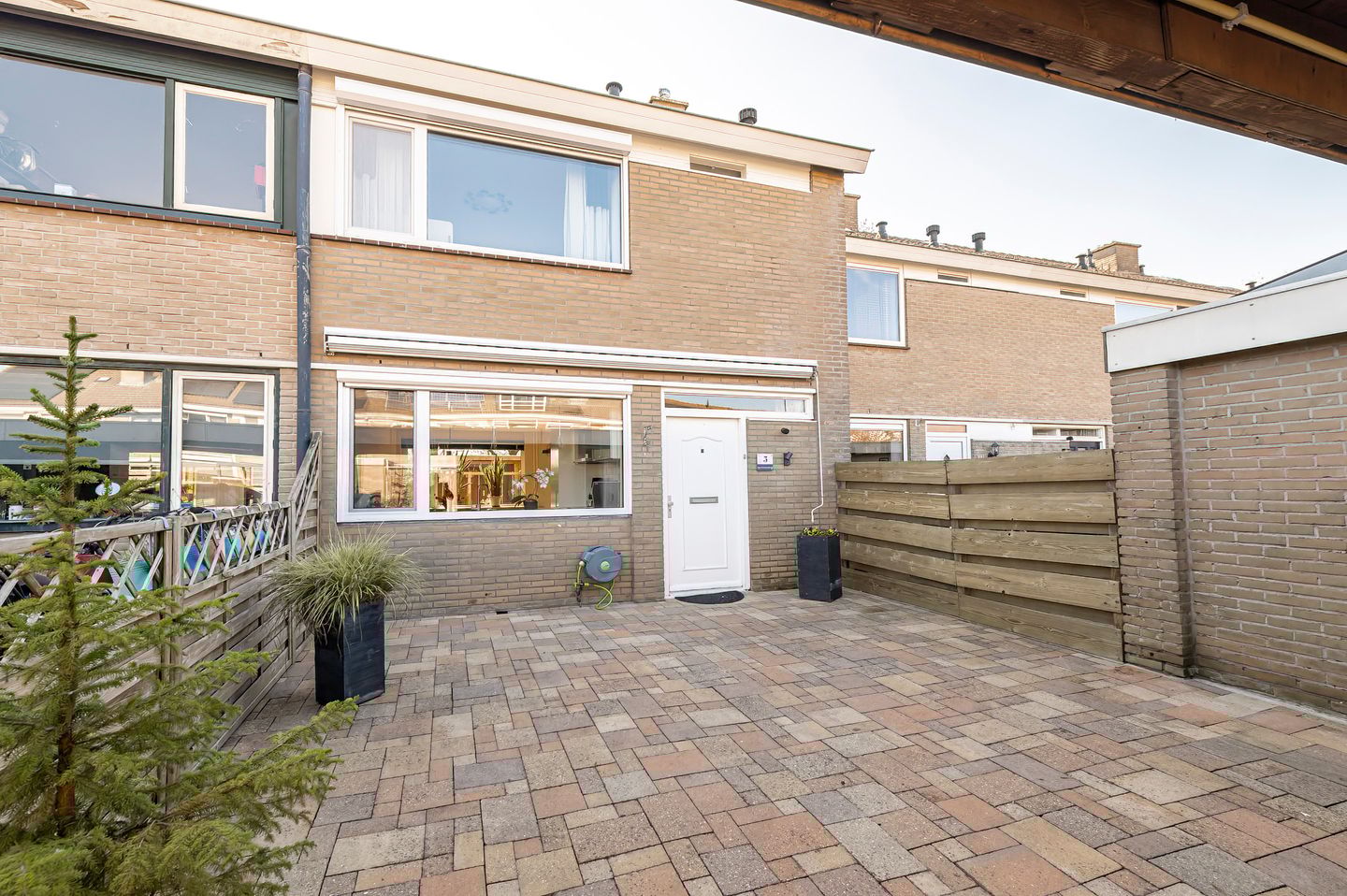 Photo 40 of Ganzebloem 5