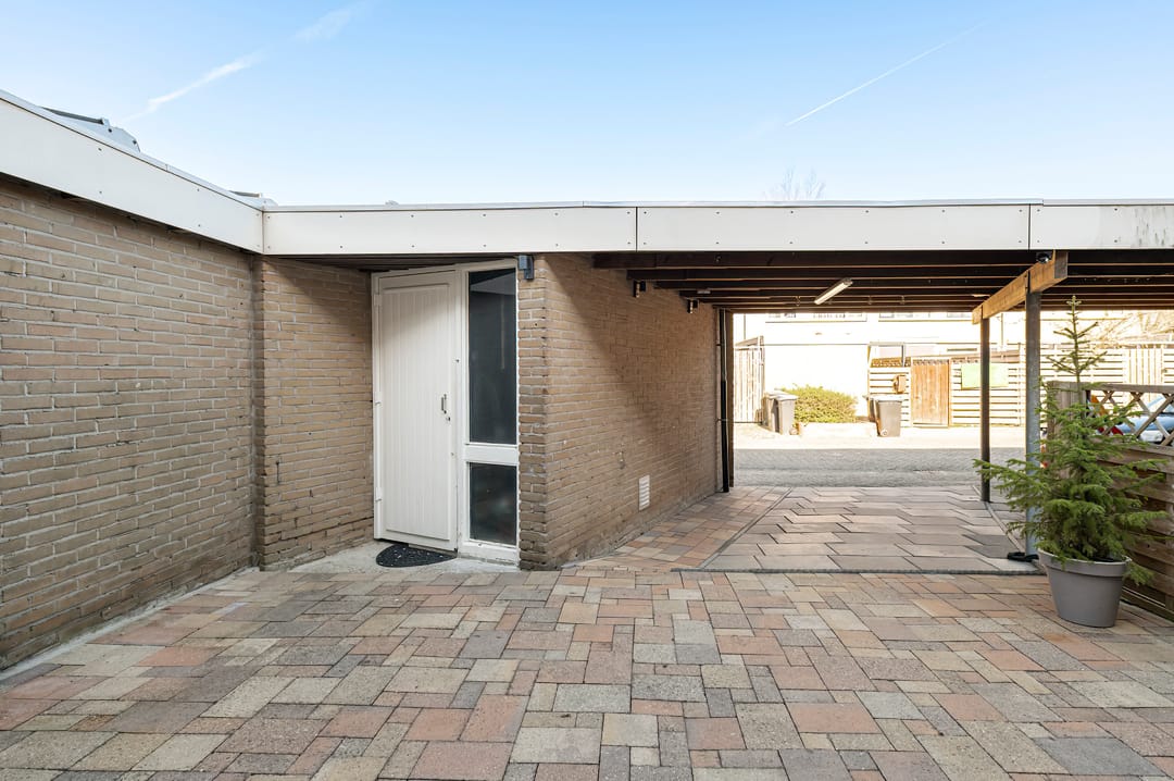 Photo 41 of Ganzebloem 5