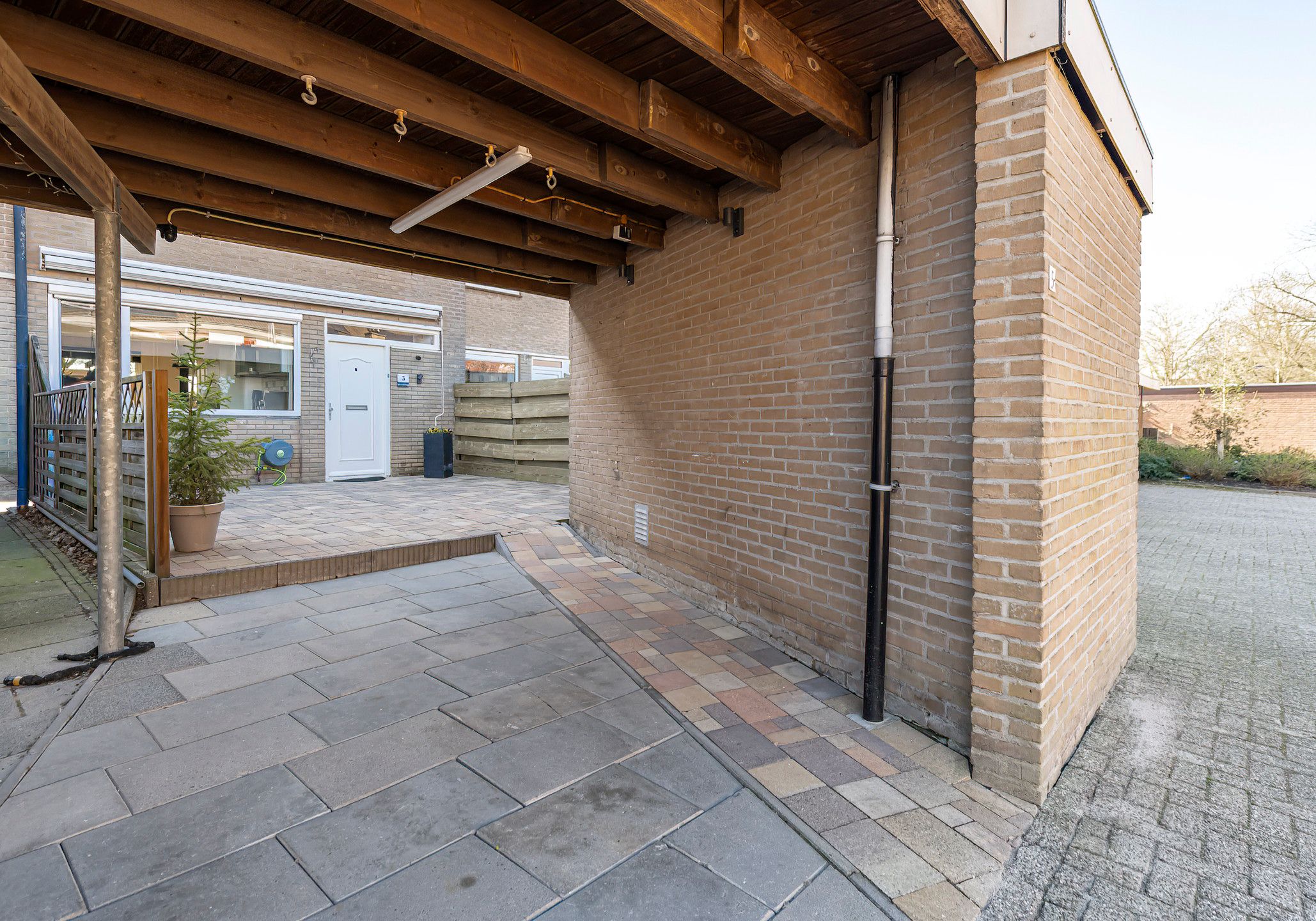 Photo 42 of Ganzebloem 5