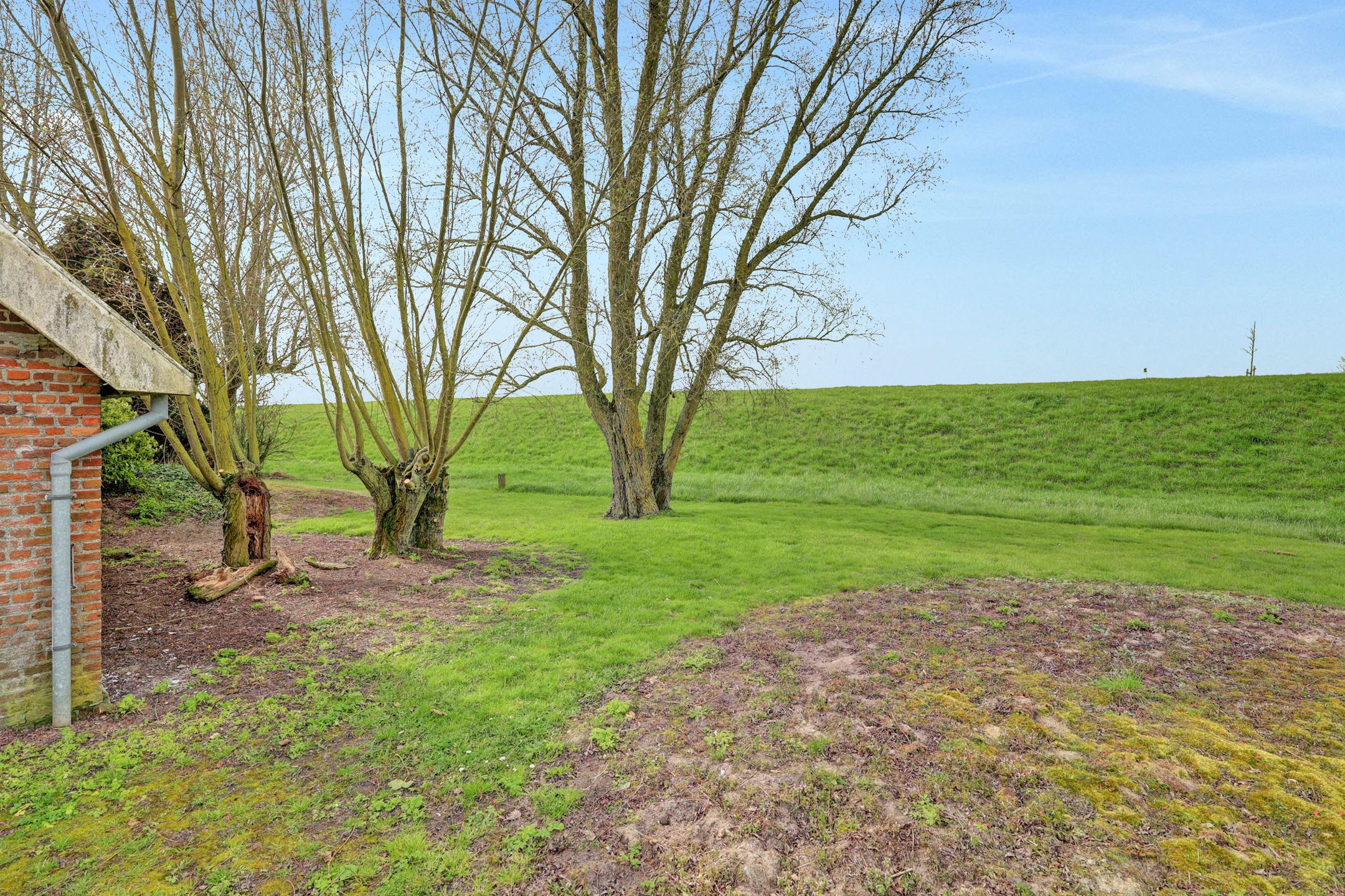 Foto 30 van Meerkoetweg 4