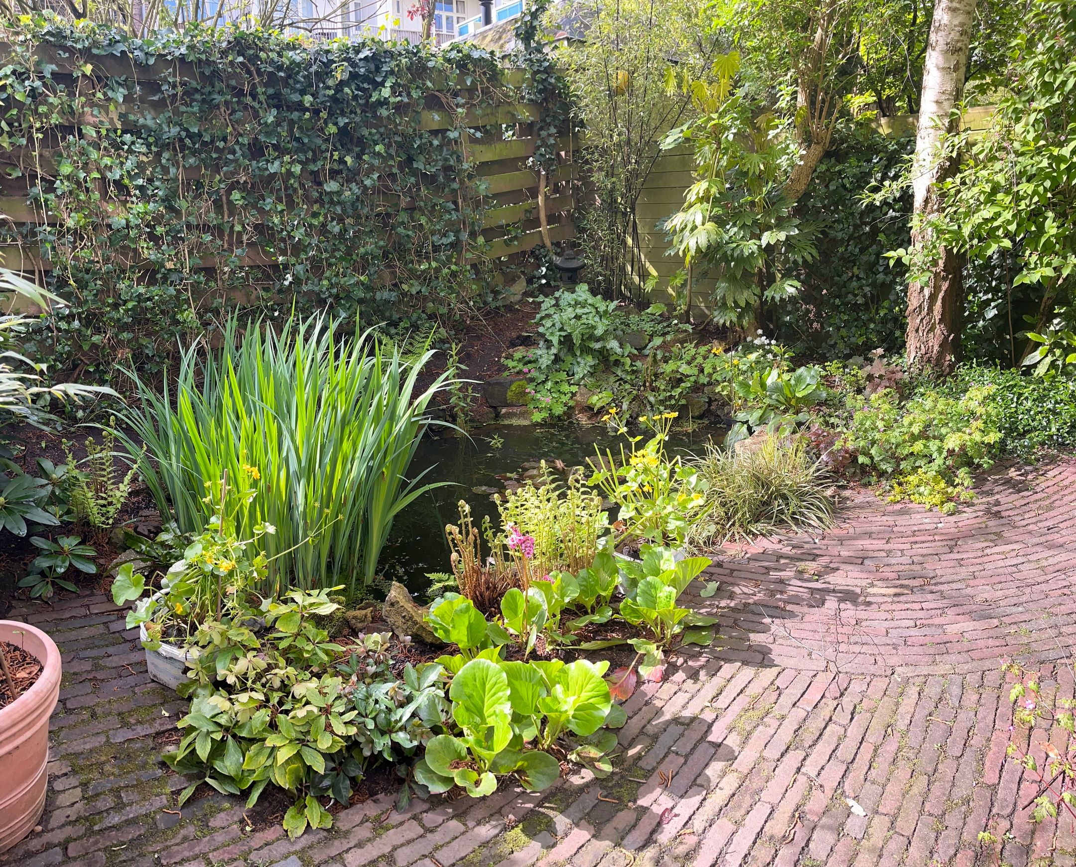 Photo 39 of Sarphatipark 100-H