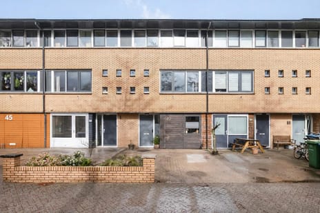 Kaasjeskruid thumbnail