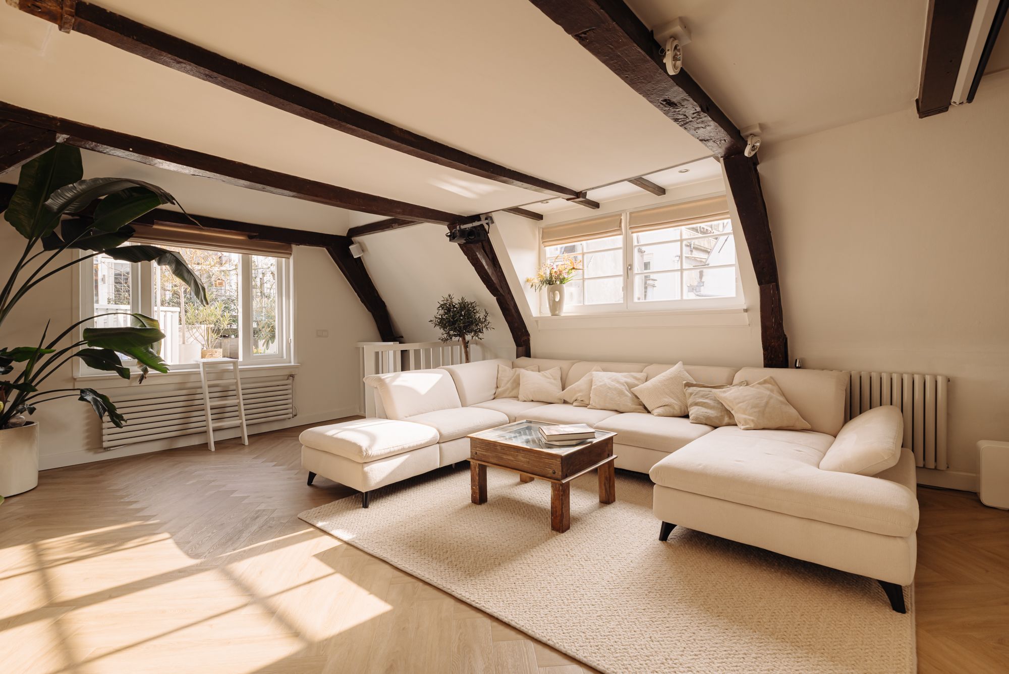 Photo 9 of Singel 100-E