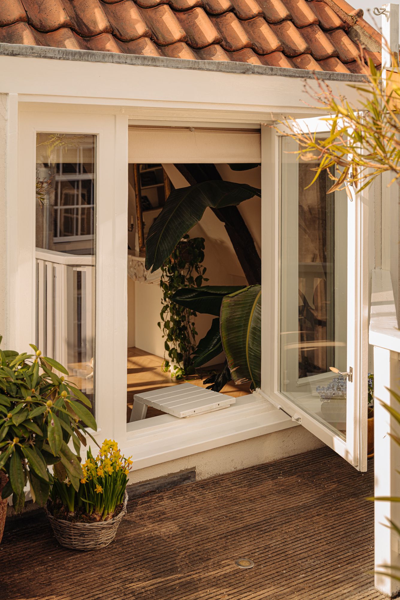 Photo 12 of Singel 100-E