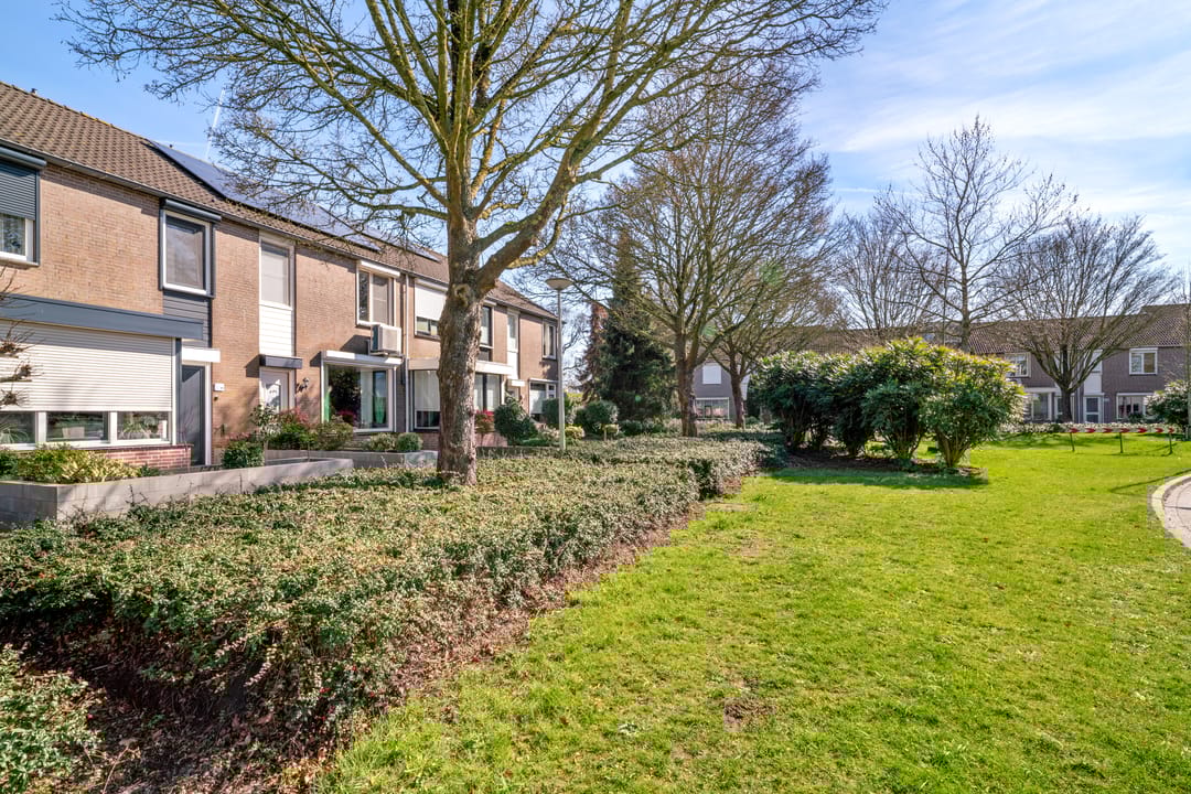 Foto 43 van Druivenberg 5