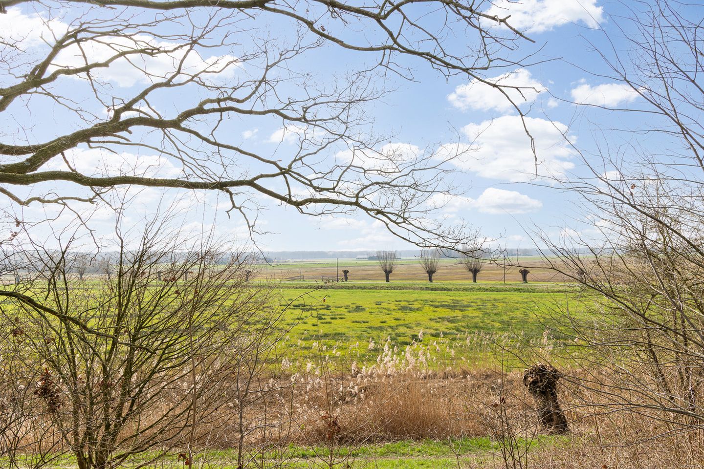 Foto 50 van Willemspoort 73