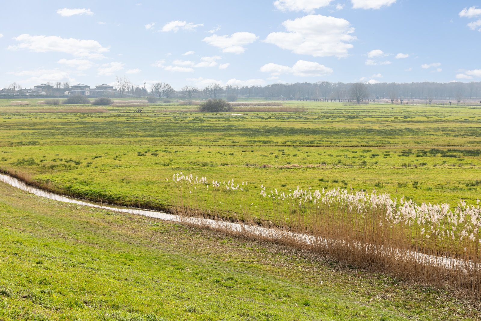 Foto 51 van Willemspoort 73