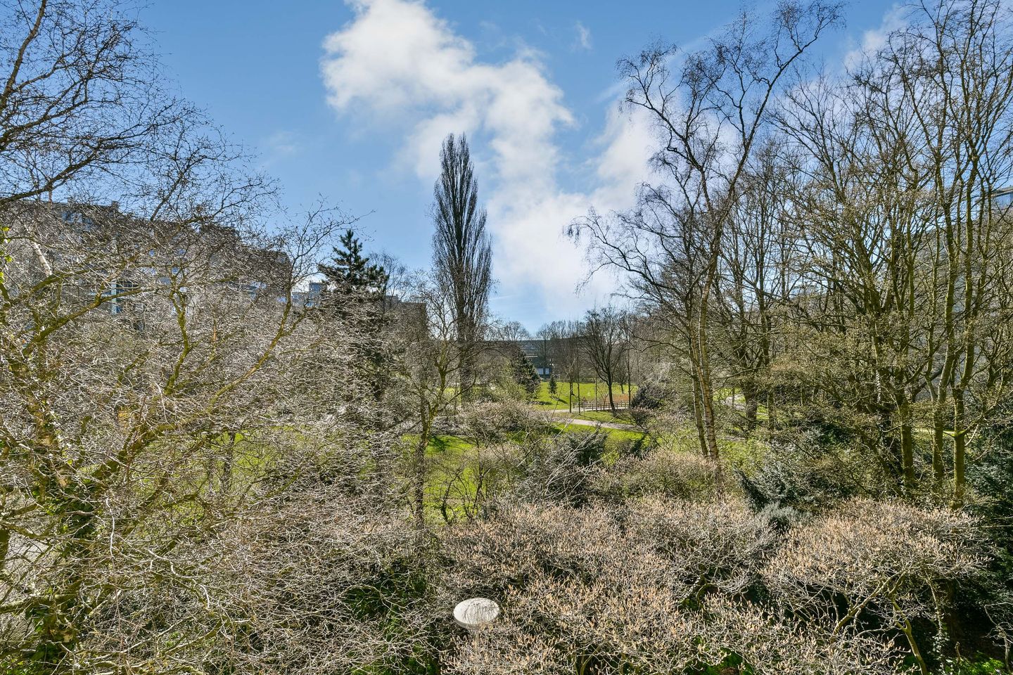 Photo 5 of Groenhoven 813