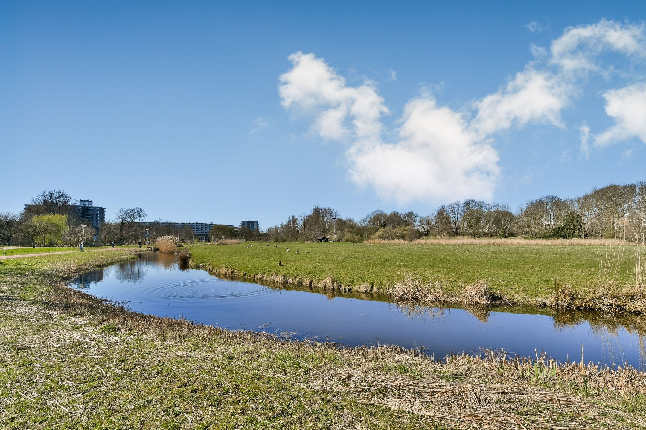 Photo 18 of Groenhoven 813