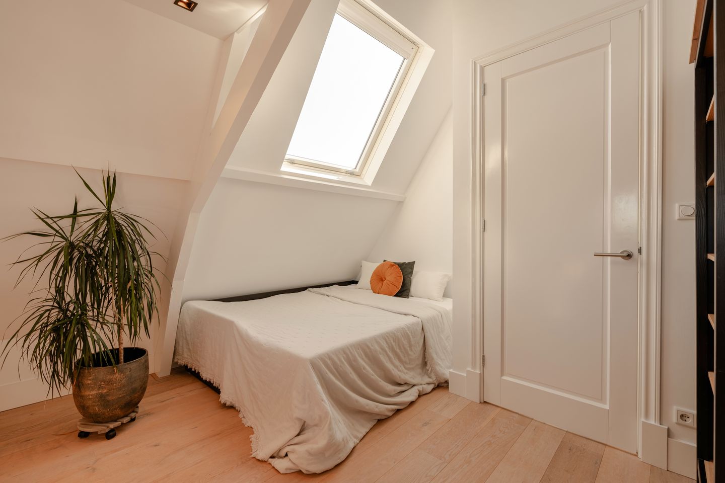 Foto 40 van Koninginneweg 225-3