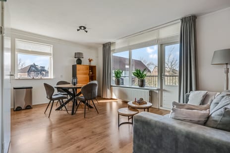 Hortensia 10 secondary image