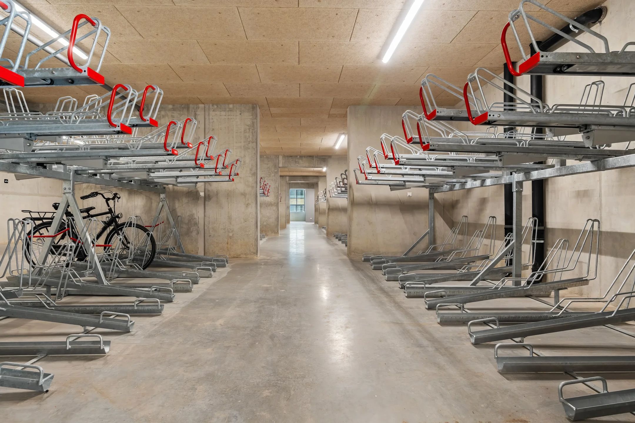 Foto 24 van Rijnlandlaan 243