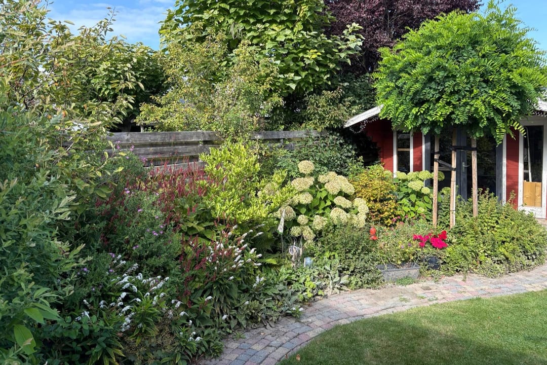 Foto 22 van Graafschap 20