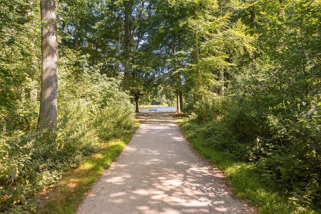 Foto 5 van De Sillestraat 272