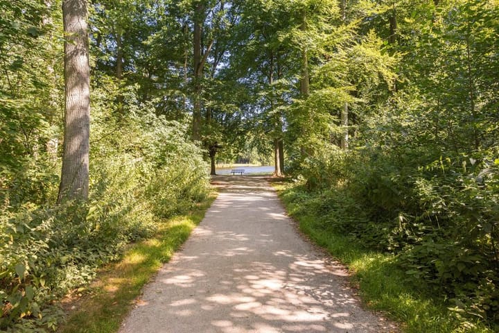 Foto 5 van De Sillestraat 272