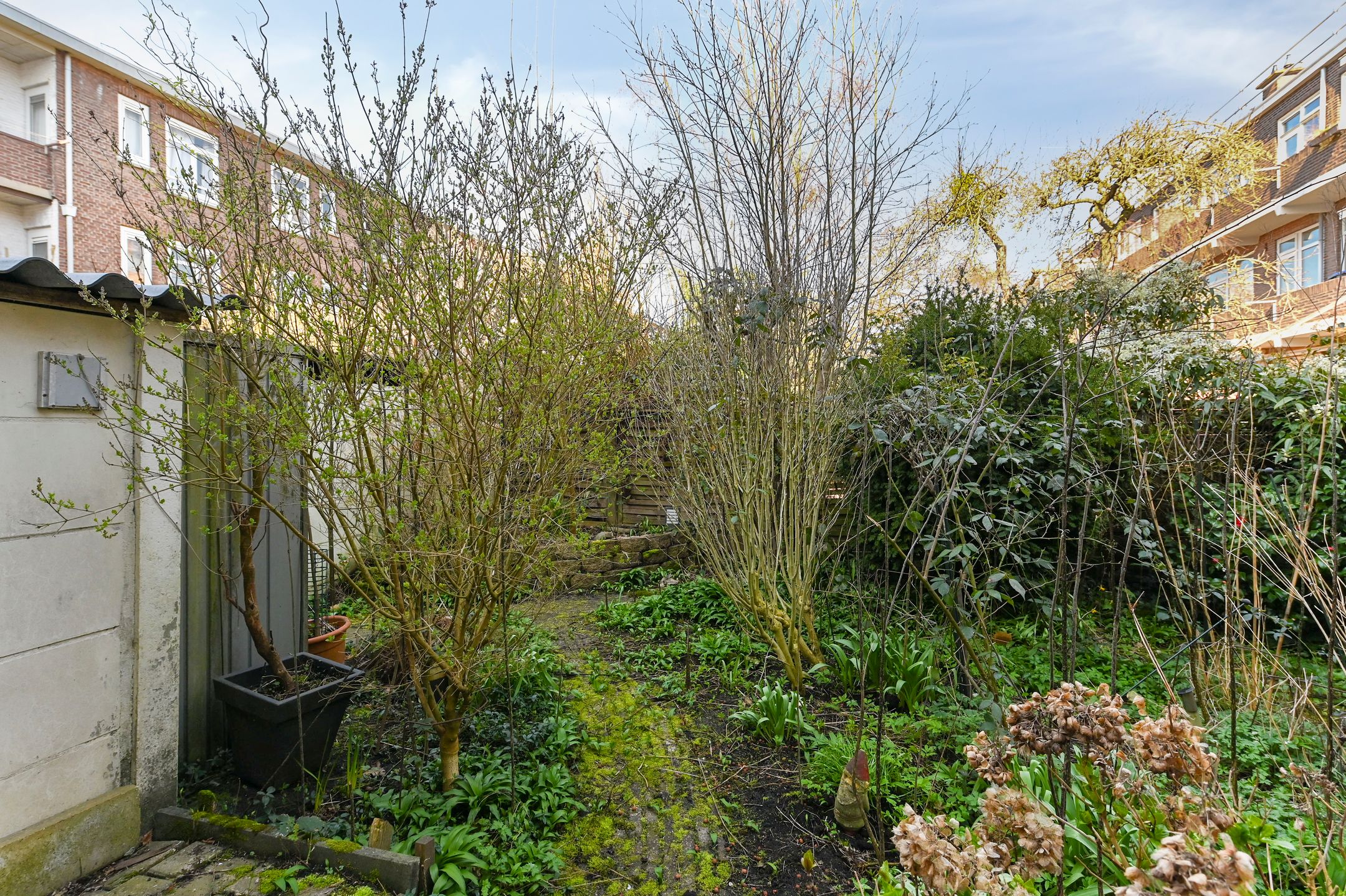 Foto 18 van De Sillestraat 272