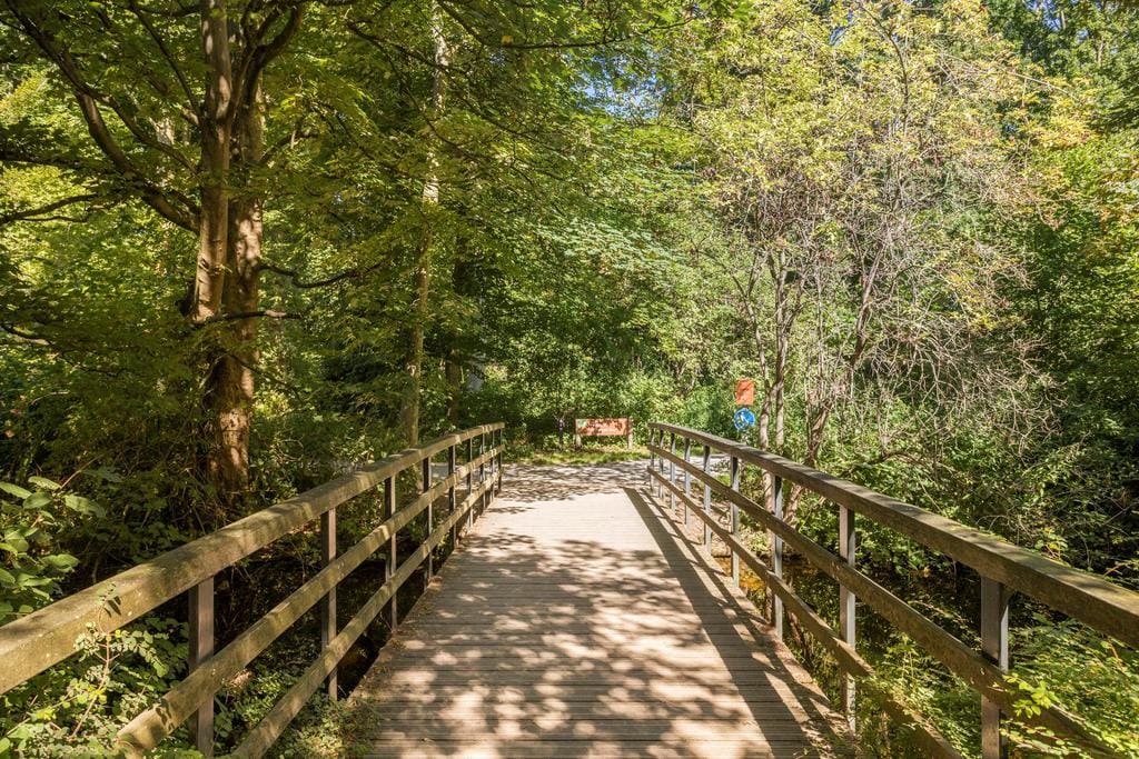 Foto 37 van De Sillestraat 272