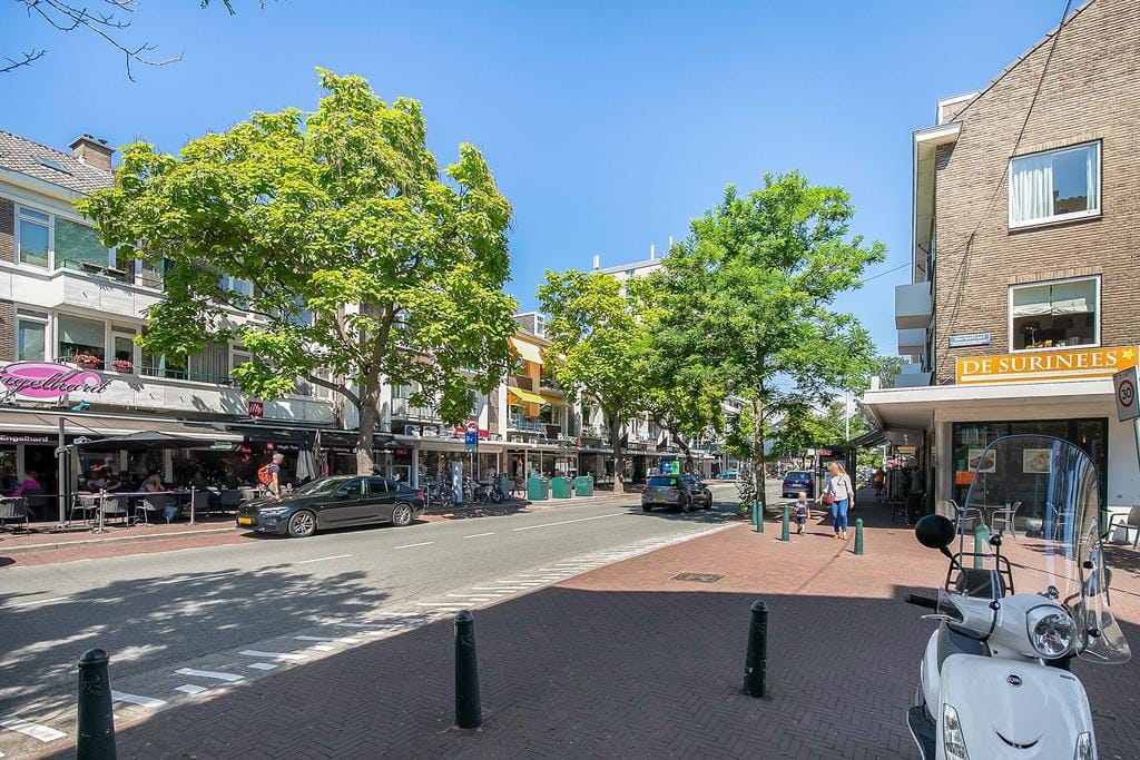 Foto 38 van De Sillestraat 272