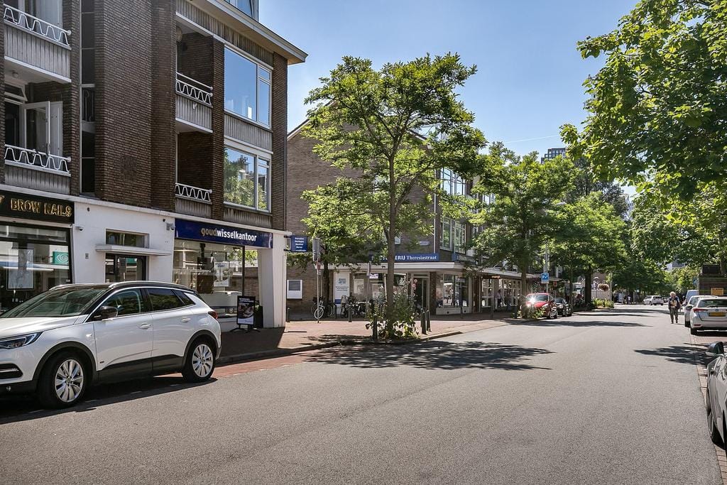 Foto 40 van De Sillestraat 272