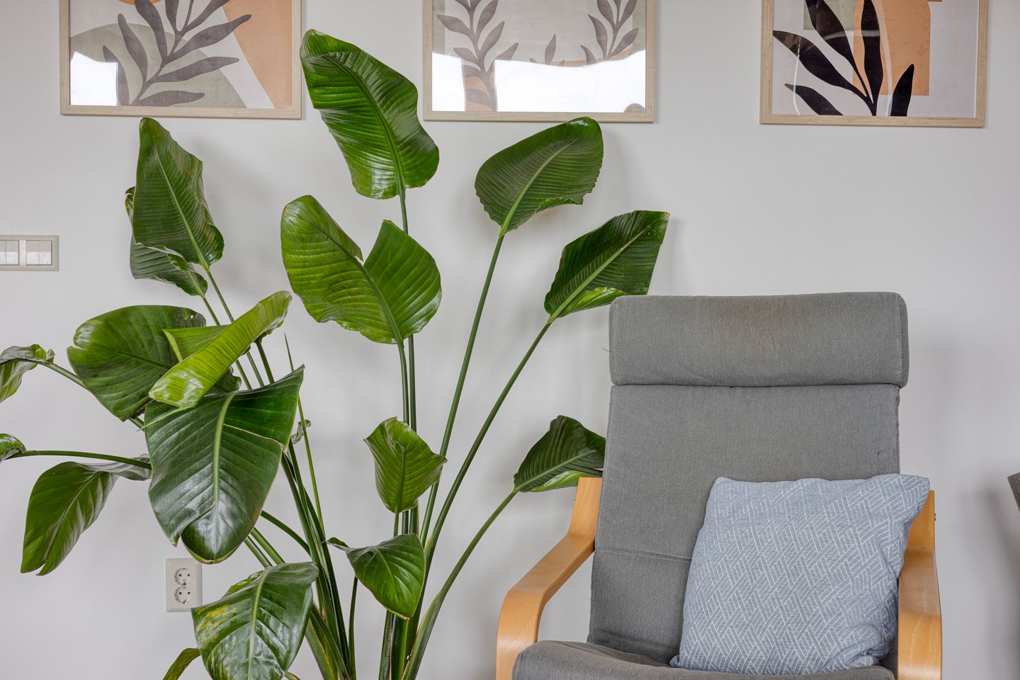 Foto 19 van Flemingstraat 71