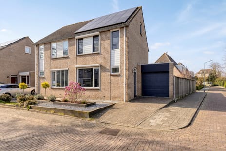 undefined main image