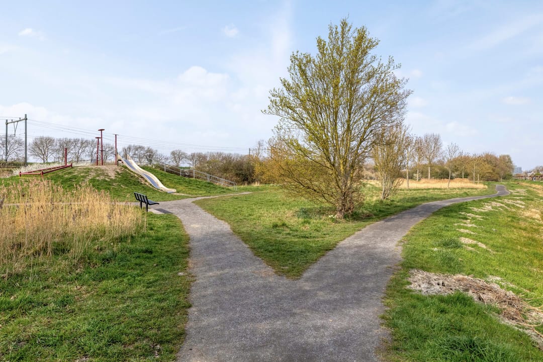 Foto 46 van Schweitzerstraat 17