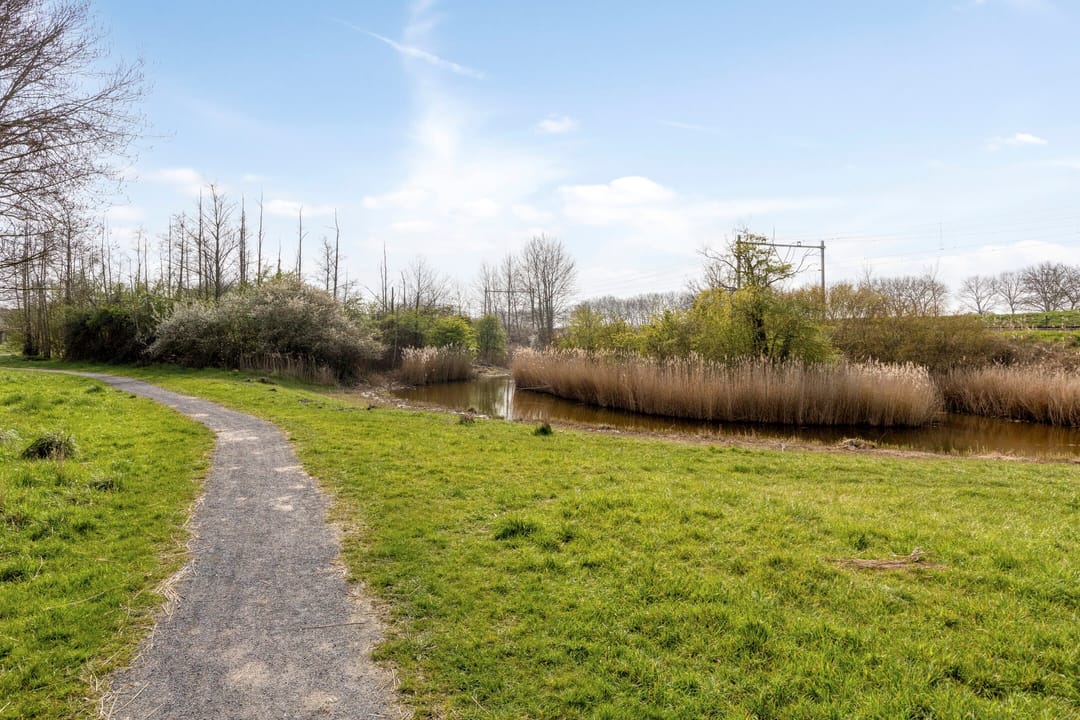 Foto 47 van Schweitzerstraat 17