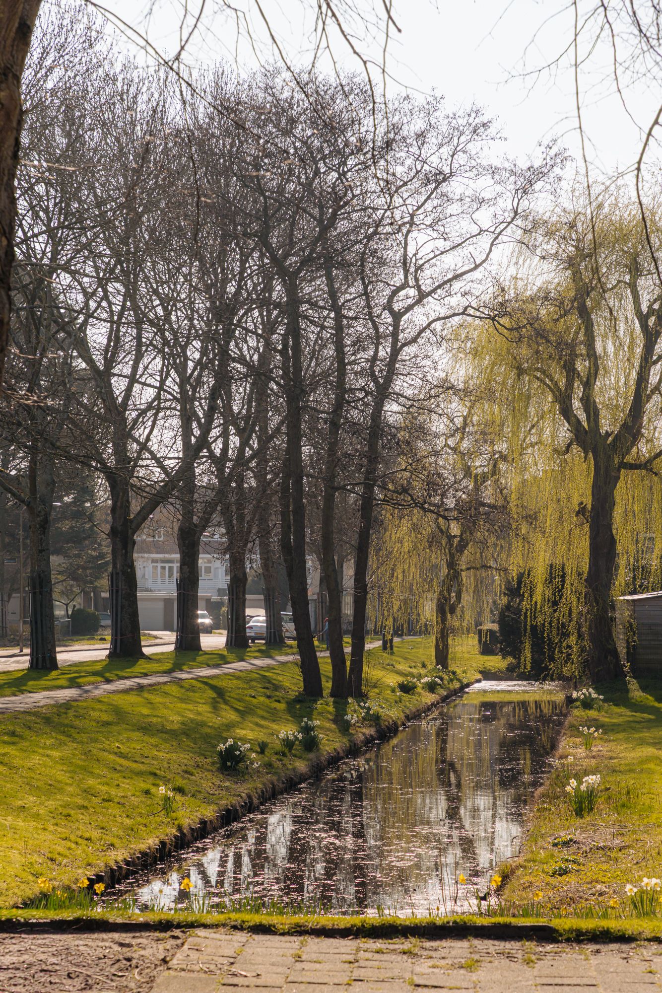 Photo 39 of Fabritiuslaan 15