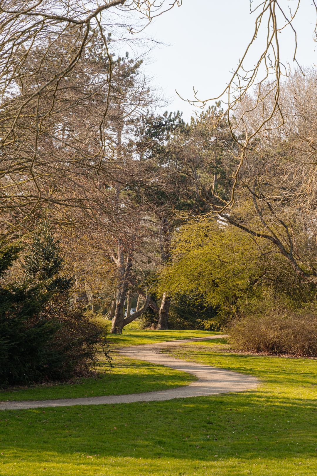 Photo 41 of Fabritiuslaan 15