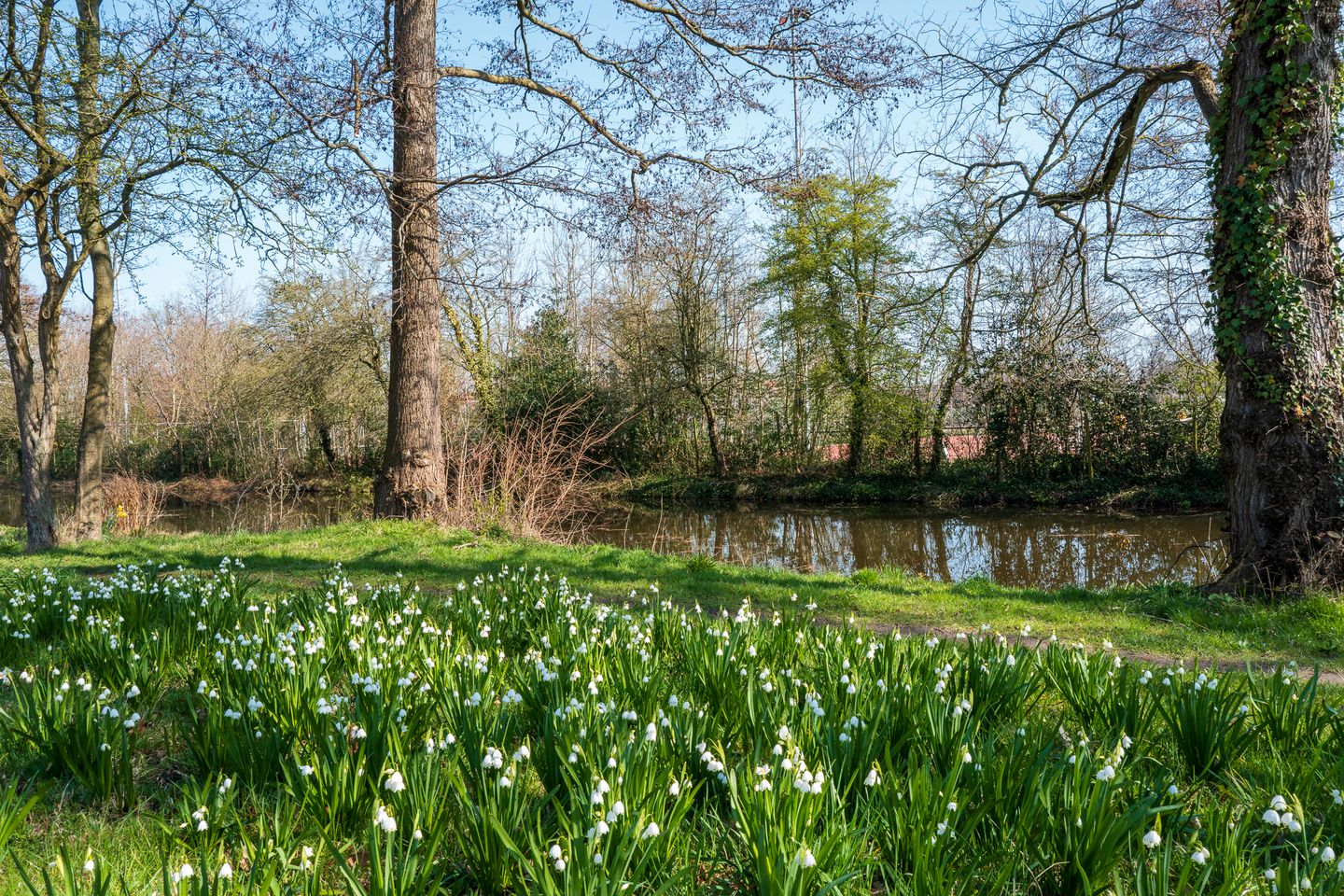 Foto 50 van Wilgenlaan 26