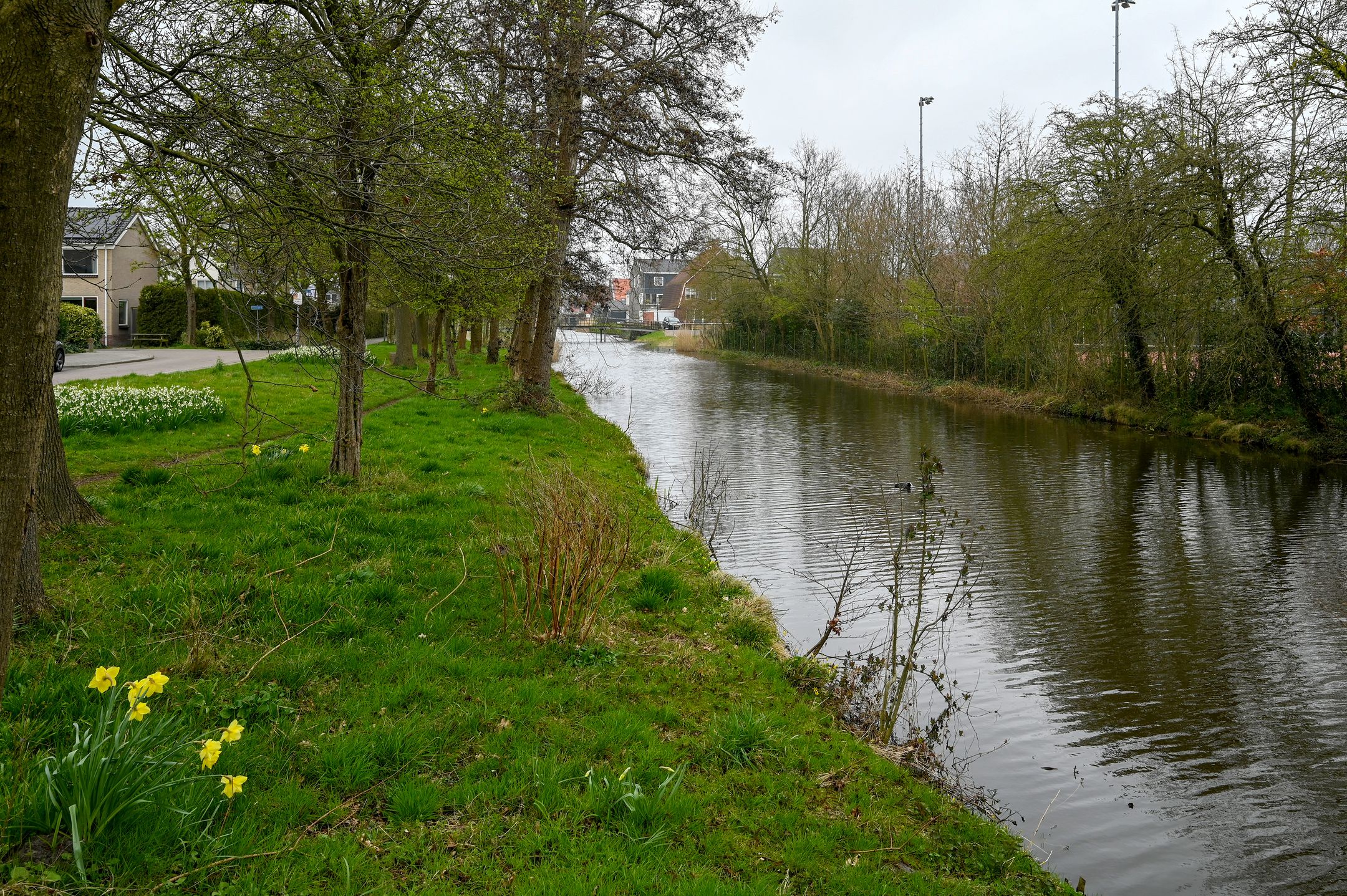 Foto 51 van Wilgenlaan 26