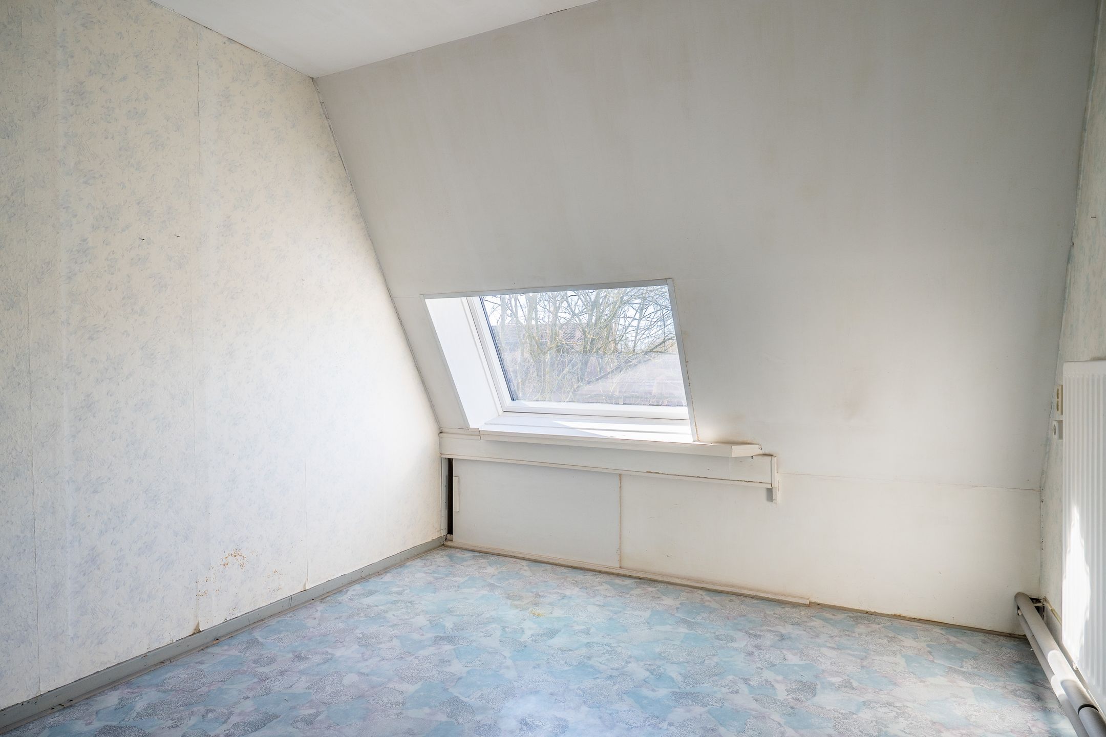 Foto 36 van Adingmoor 2